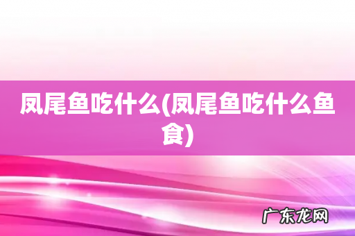 凤尾鱼吃什么鱼食 凤尾鱼吃什么