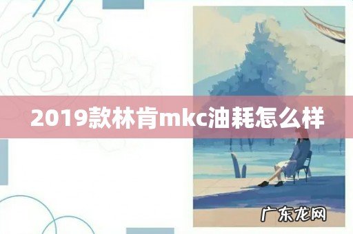 2019款林肯mkc油耗怎么样