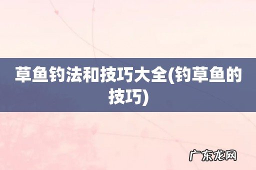 钓草鱼的技巧 草鱼钓法和技巧大全