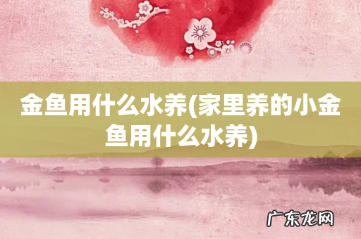 家里养的小金鱼用什么水养 金鱼用什么水养