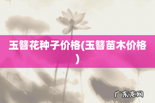 玉簪苗木价格 玉簪花种子价格