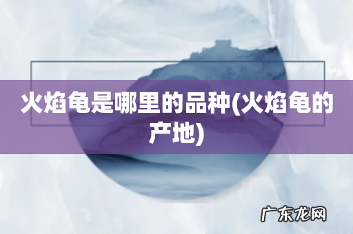 火焰龟的产地 火焰龟是哪里的品种