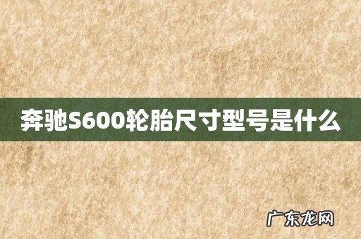 奔驰S600轮胎尺寸型号是什么