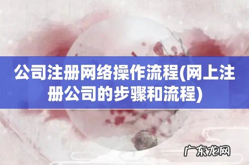 网上注册公司的步骤和流程 公司注册网络操作流程