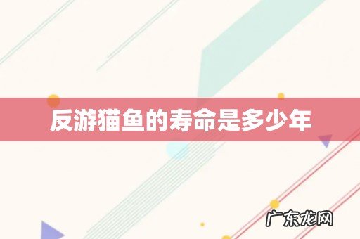 反游猫鱼的寿命是多少年