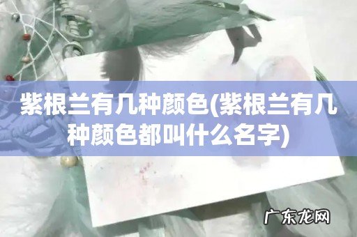 紫根兰有几种颜色都叫什么名字 紫根兰有几种颜色