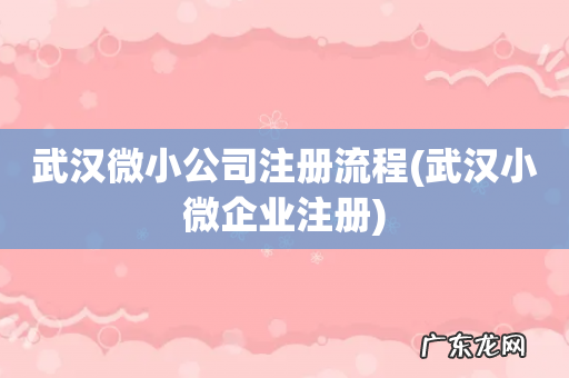 武汉小微企业注册 武汉微小公司注册流程