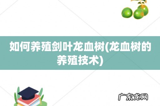 龙血树的养殖技术 如何养殖剑叶龙血树