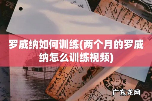 两个月的罗威纳怎么训练视频 罗威纳如何训练