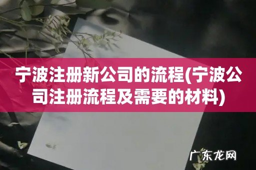 宁波公司注册流程及需要的材料 宁波注册新公司的流程