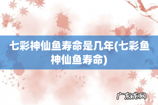 七彩鱼神仙鱼寿命 七彩神仙鱼寿命是几年