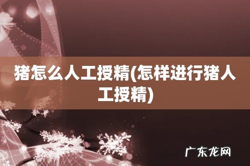 怎样进行猪人工授精 猪怎么人工授精