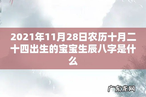 2021年11月28日农历十月二十四出生的宝宝生辰八字是什么