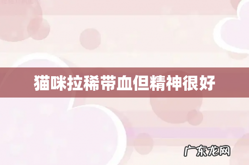 猫咪拉稀带血但精神很好