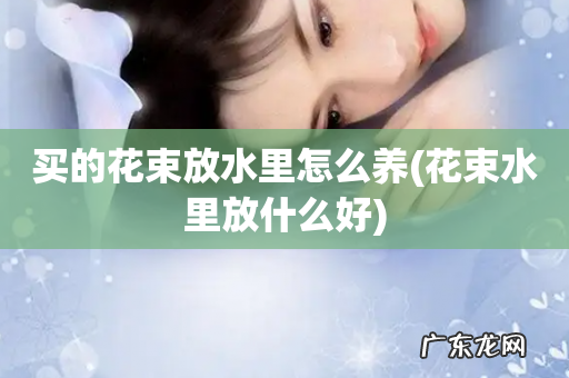 花束水里放什么好 买的花束放水里怎么养