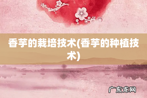 香芋的种植技术 香芋的栽培技术