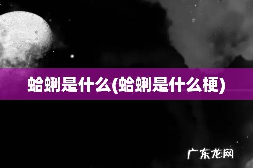 蛤蜊是什么梗 蛤蜊是什么