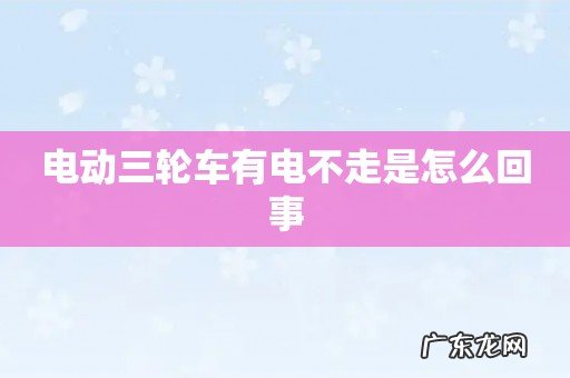 电动三轮车有电不走是怎么回事