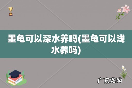 墨龟可以浅水养吗 墨龟可以深水养吗