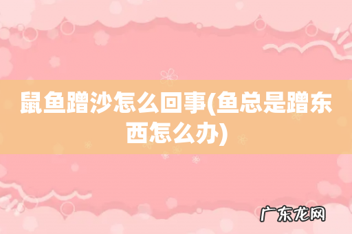鱼总是蹭东西怎么办 鼠鱼蹭沙怎么回事