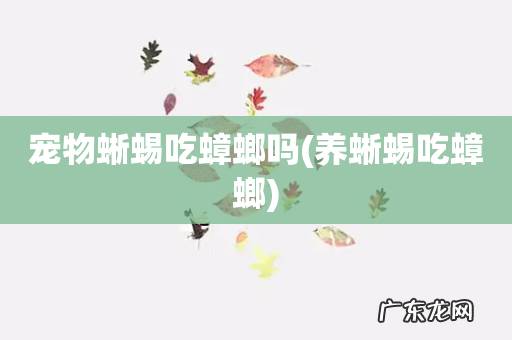 养蜥蜴吃蟑螂 宠物蜥蜴吃蟑螂吗