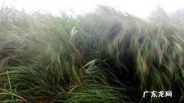 气象谚语大全50条 气象谚语10条