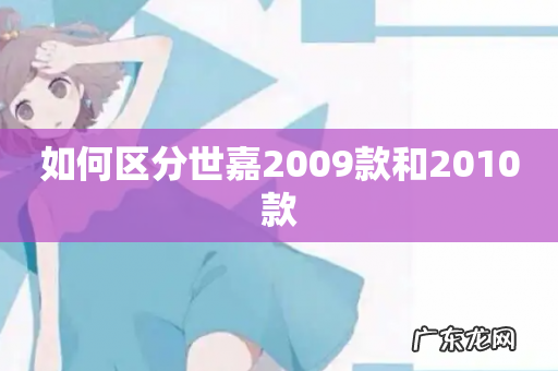 如何区分世嘉2009款和2010款