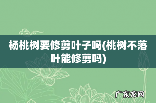 桃树不落叶能修剪吗 杨桃树要修剪叶子吗