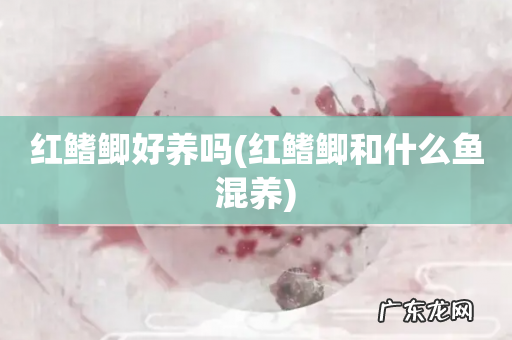 红鳍鲫和什么鱼混养 红鳍鲫好养吗