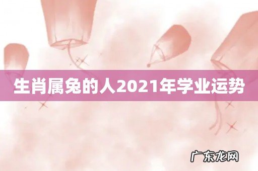 生肖属兔的人2021年学业运势