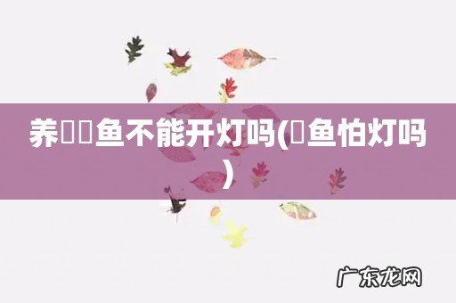 魟鱼怕灯吗 养鳑鲏鱼不能开灯吗