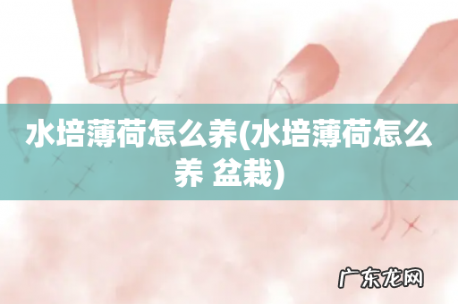 水培薄荷怎么养 盆栽 水培薄荷怎么养