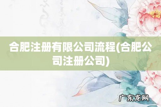 合肥公司注册公司 合肥注册有限公司流程