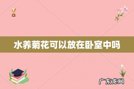 水养菊花可以放在卧室中吗
