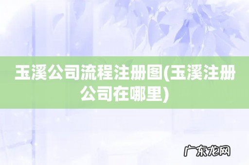玉溪注册公司在哪里 玉溪公司流程注册图