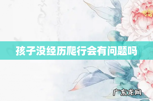 孩子没经历爬行会有问题吗