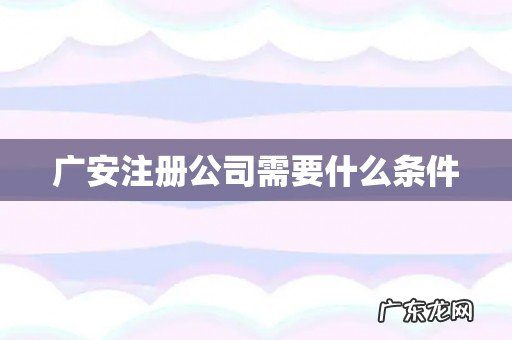 广安注册公司需要什么条件