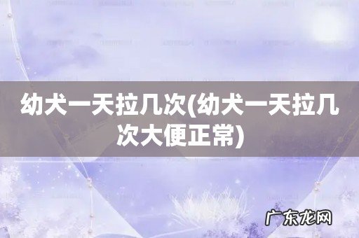 幼犬一天拉几次大便正常 幼犬一天拉几次