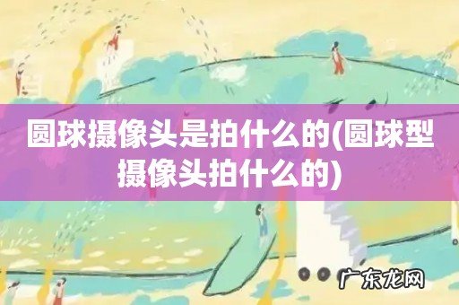 圆球型摄像头拍什么的 圆球摄像头是拍什么的