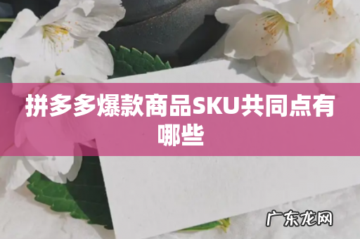 拼多多爆款商品SKU共同点有哪些