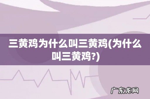 为什么叫三黄鸡? 三黄鸡为什么叫三黄鸡