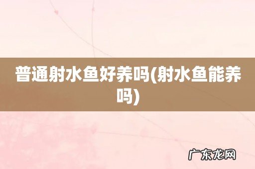 射水鱼能养吗 普通射水鱼好养吗