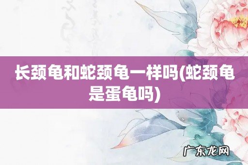 蛇颈龟是蛋龟吗 长颈龟和蛇颈龟一样吗