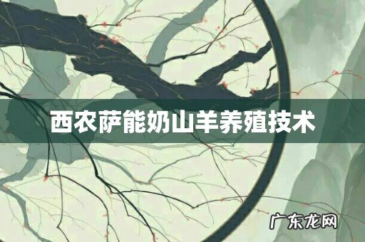 西农萨能奶山羊养殖技术