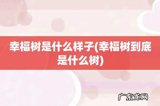 幸福树到底是什么树 幸福树是什么样子