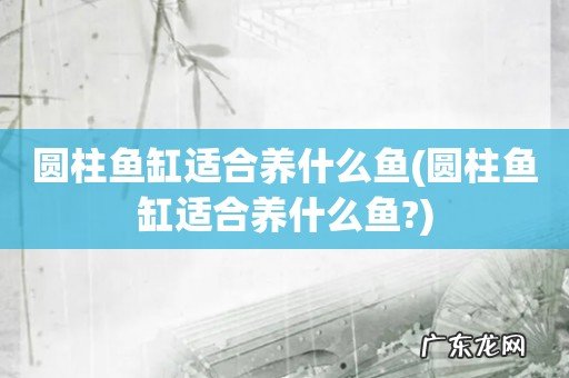 圆柱鱼缸适合养什么鱼? 圆柱鱼缸适合养什么鱼