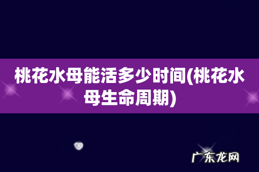 桃花水母生命周期 桃花水母能活多少时间
