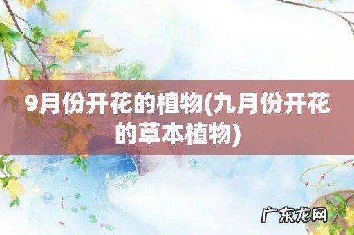 九月份开花的草本植物 9月份开花的植物