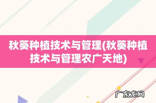 秋葵种植技术与管理农广天地 秋葵种植技术与管理