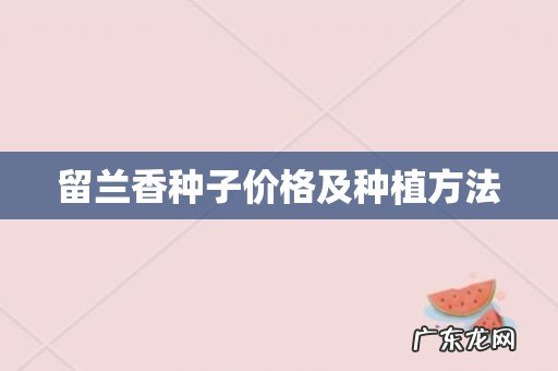 留兰香种子价格及种植方法